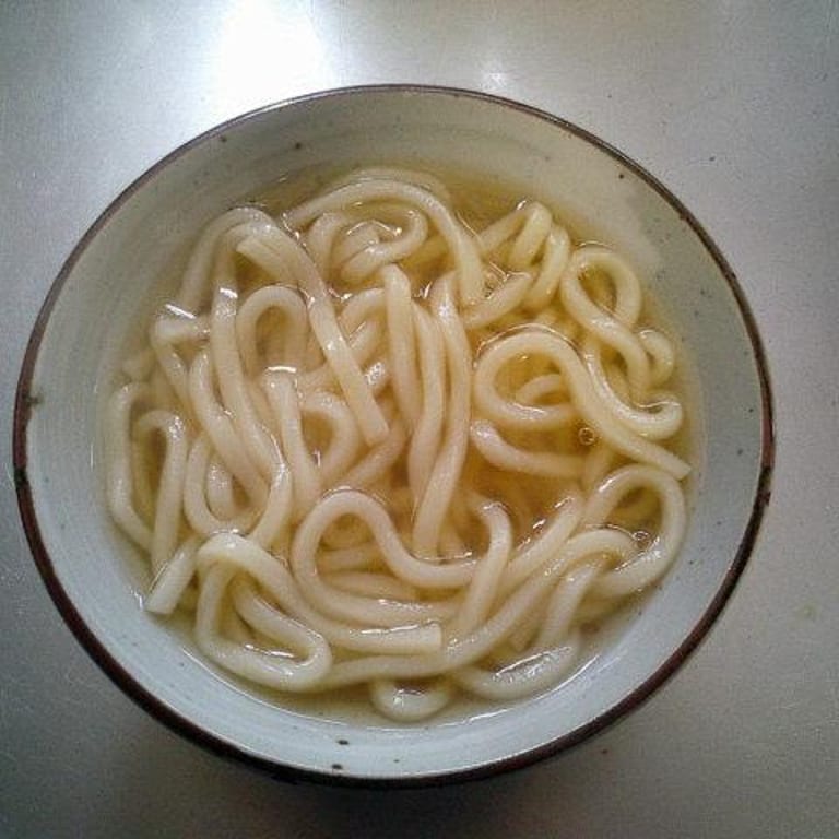 Savor Our Udon Noodles